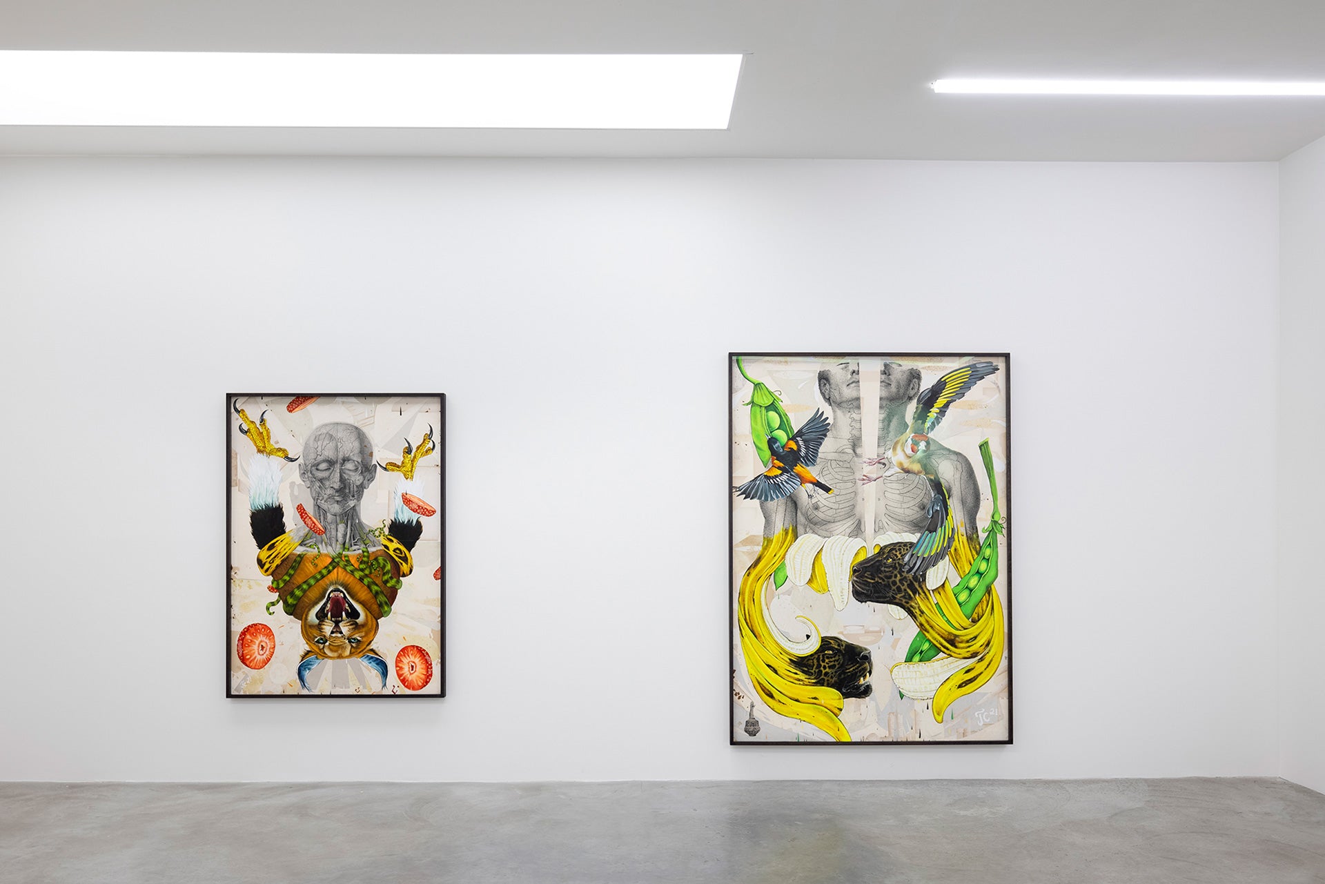 Bloomerang – V1 Gallery