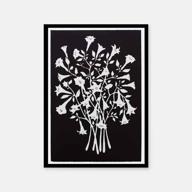 THORNAPPLE (BLACK AND WHITE)