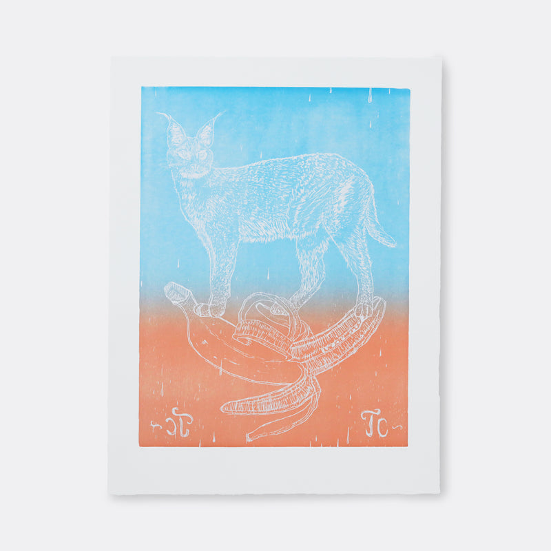 CAUGHT IN THE HEADLIGHTS #1