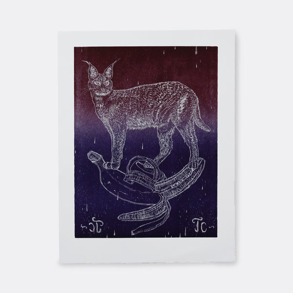 CAUGHT IN THE HEADLIGHTS #2