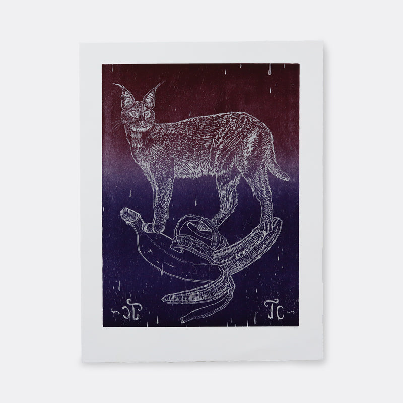 CAUGHT IN THE HEADLIGHTS #2