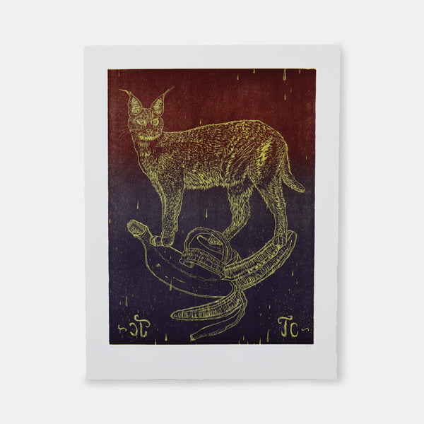 CAUGHT IN THE HEADLIGHTS #3