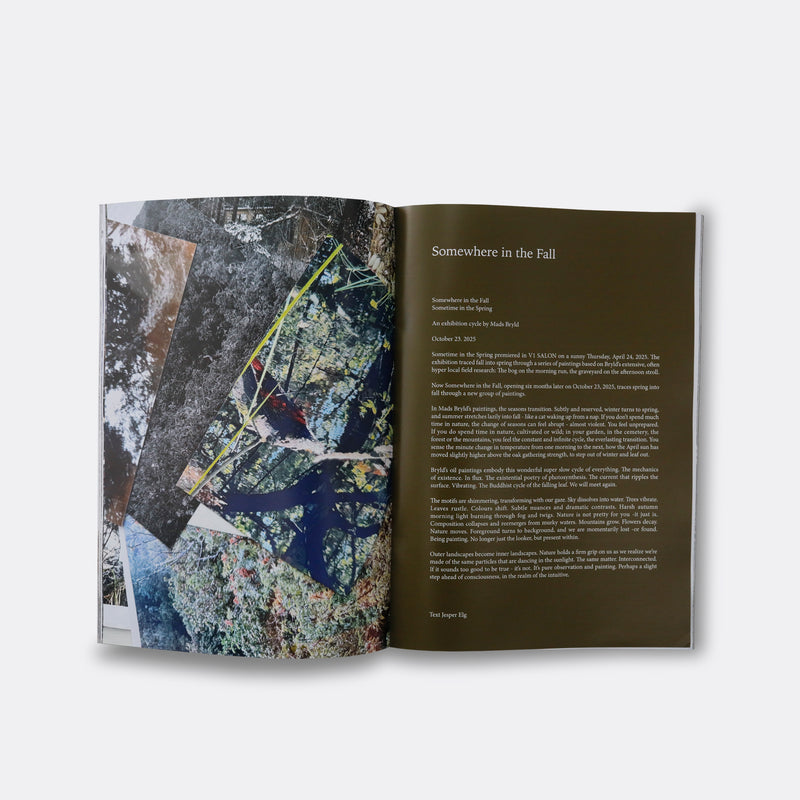 SOMEWHERE IN THE FALL, SOMETIME IN THE SPRING, EXHIBITION CATALOGUE