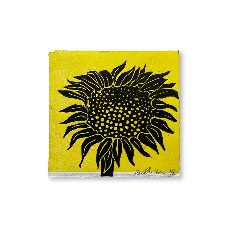 Sunflower. 2023