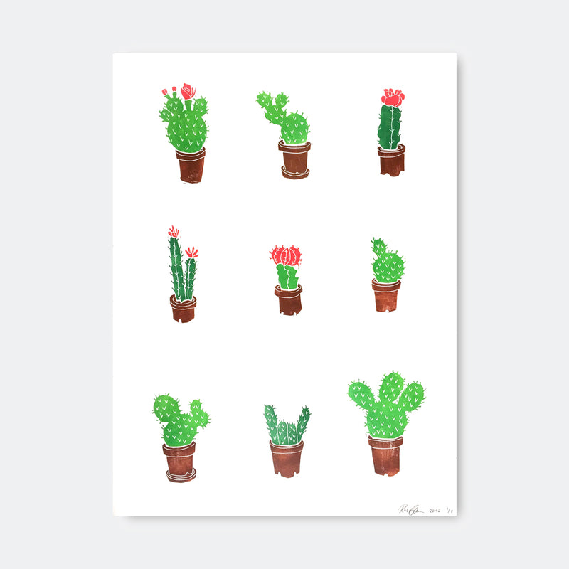 Cactuses. 2016