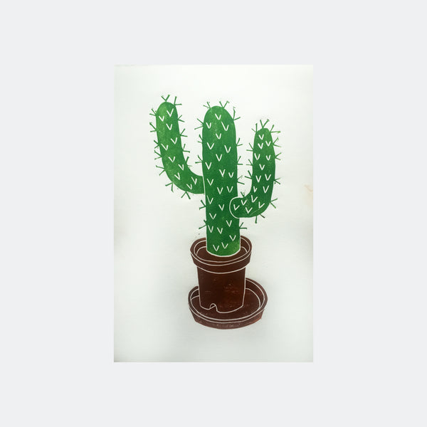 Cactus I. 2015